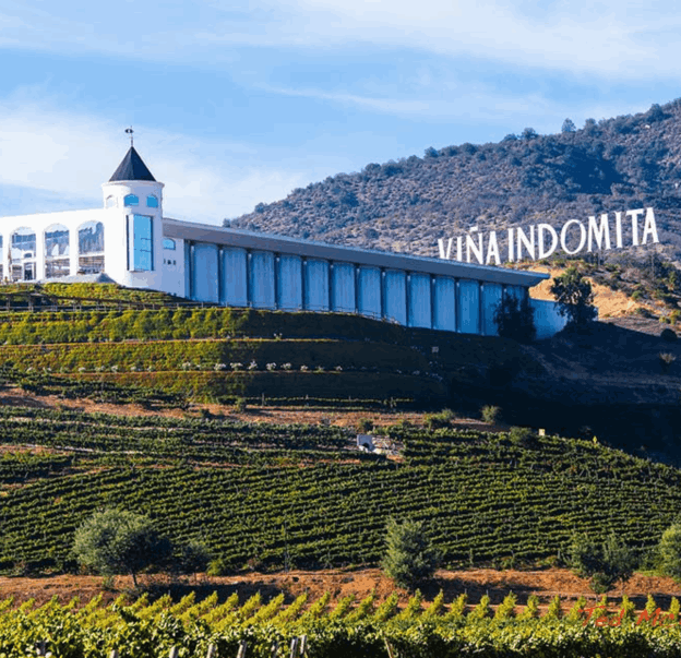 Vinícola Indómita