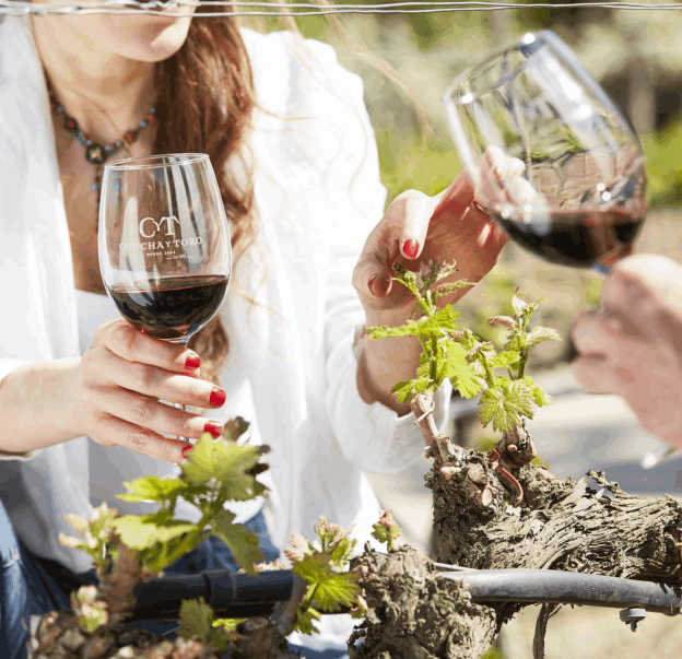 Vinícola Concha y Toro