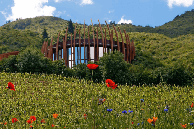 Vinícola Clos Apalta