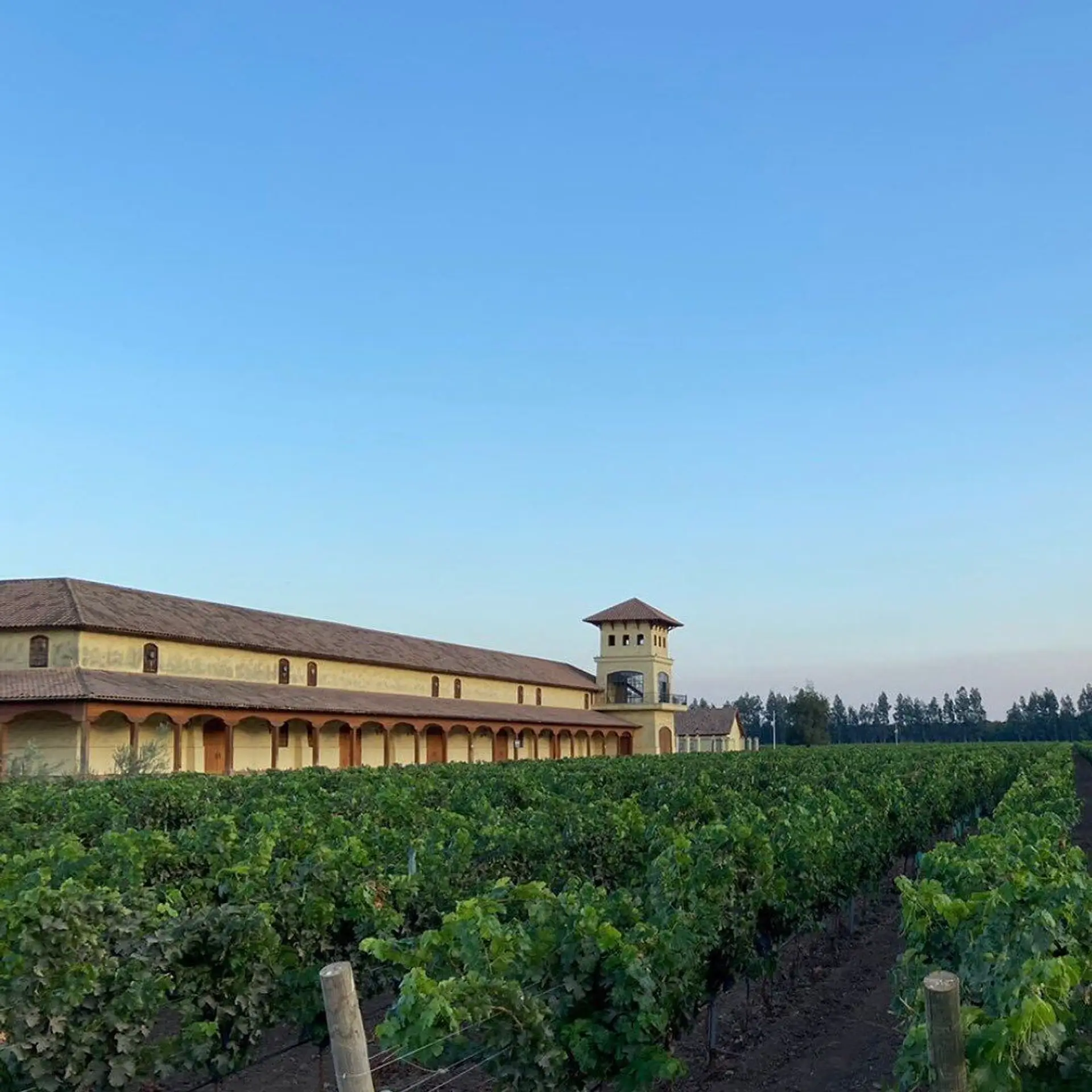 Vinícola Cousiño Macul