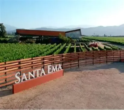 Vinícola Santa Ema