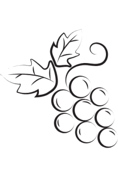 Ilustração sobre a uva Carménère no Chile